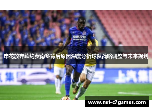 申花放弃续约费南多背后原因深度分析球队战略调整与未来规划