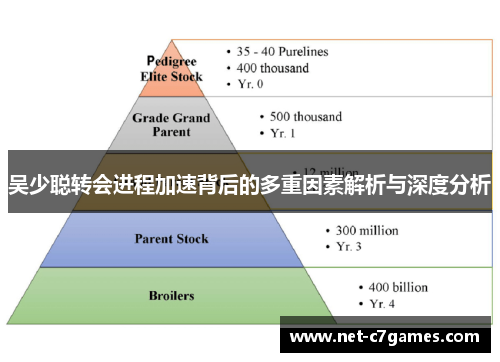 吴少聪转会进程加速背后的多重因素解析与深度分析