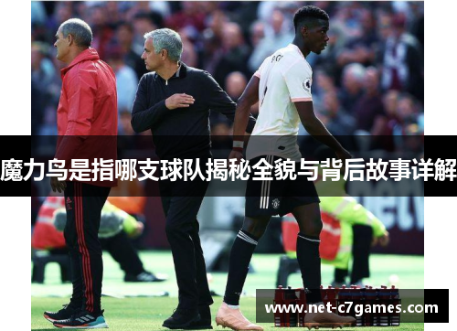 魔力鸟是指哪支球队揭秘全貌与背后故事详解