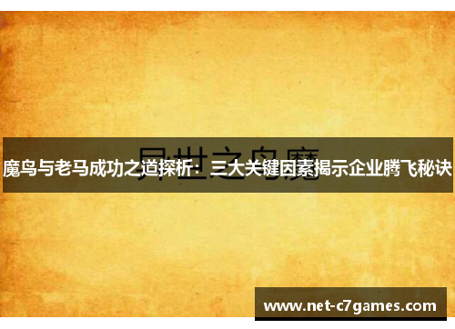 魔鸟与老马成功之道探析：三大关键因素揭示企业腾飞秘诀